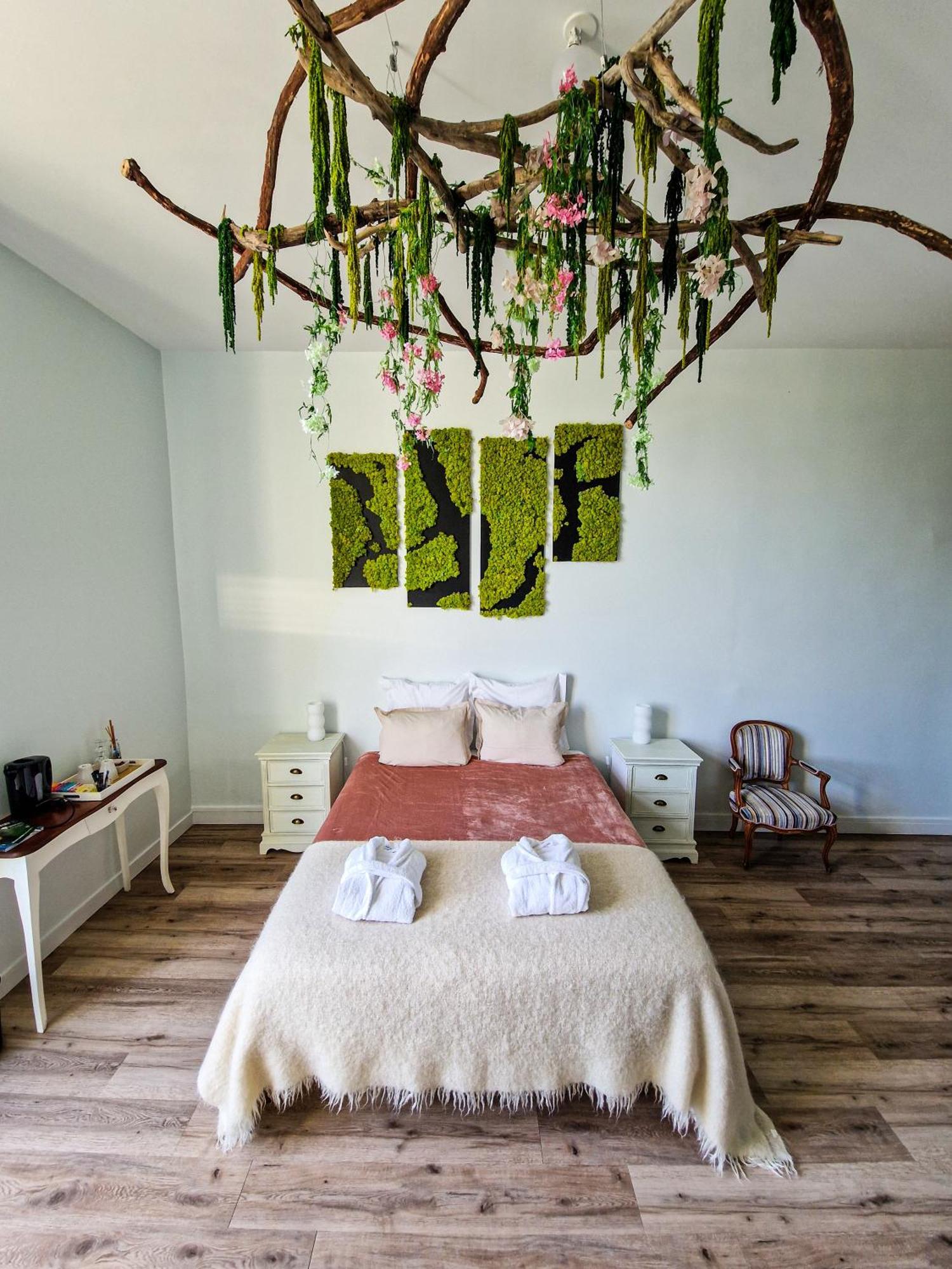 Manoir Des Reves Sauvages Hotell Parentignat Rum bild